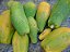 Frutas da época (uni) - Imagem 4
