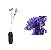 Jacarandá Mimoso - 1 Muda Ornamental Pequena - Imagem 1