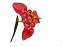 Iris Tigridia - 4 Bulbos Prontos Para Plantar - Imagem 1