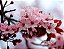 Cerejeira Sakura Okinawa - 1 Muda - Imagem 1