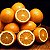 Laranja Bahia - 1 Muda Enxertada -Produz Rápido - Imagem 3