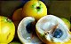1 Muda Frutifera de Abiu Amarelo (1m) - Cultivo Livre De Agrotóxico - Imagem 1