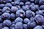 Mirtilo Blueberry P - 1 Muda Estaquia - Produz Rápido - Imagem 5