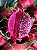 Muda Frutifera de Pitaya - Sem Agrotóxicos (tradicional ou vermelha) - Imagem 2