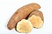 Batata Yacon - 1kg de Rizomas para plantio - Imagem 2