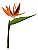 Estrelicia (ave Do Paraiso) - 1 Muda Ornamental - Imagem 1