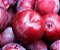 Muda Frutifera de Ameixa Vermelha -  Muda Grande - Sem Agrotóxicos - Imagem 1