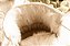 Boot Urso Polar - Imagem 3