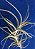 Tillandsia incarnata (Air Plant) - Imagem 2