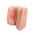 SIMULADOR PARA PROCEDIMENTOS ÍNTIMOS DA VULVA NINFOTRAINER - VLV-16 VULVA COM HIPERTROFIA COM ASSIMÉTRICA DOS PEQUENOS LÁBIOS (CÓD 3981) - Imagem 2