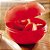 Tupperware Porta Tomate Vermelho 350ml - Imagem 1