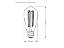 Lampada Filamento Carbono ST64 40W x 127V TASCHiBRA 11050127 - Imagem 2
