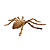 ARANHA MARROM HALLOWEEN 14X11CM - Imagem 2