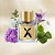 Perfume Nishane Hundred Silent Ways X Extrait de Parfum 100ml - Imagem 4