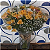 Box Astromelia - Imagem 1