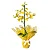 Orquidea chuva de ouro - Imagem 1