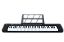 TECLADO WALDMAN CLASSTONE WTS-100 BK PRETO - Imagem 1
