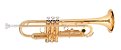 Trompete Michael WTRM48 Sib Dual Gold - Imagem 1