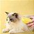 Escova Vaporizadora Elétrica 3 em 1 para Animais de Estimação Pet Gato Cachorros Massageadora USB Recarregável Premium e - Imagem 6