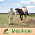 MEC JEGUE - PULVERIZADOR FEITO PARA CAVALO (TRAÇÃO ANIMAL) - Imagem 1