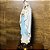 Imagem Nossa Senhora de Lourdes | Feito a mão | Gesso Artesanal 20cm - Imagem 3