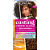 Tonalizante Loreal Casting 731 - Imagem 1