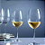 Kit Vinho - Jogo 6 Taças Cristal Com Titanium 350ml + Decanter Cristal Hand Made Cristal Ecologico 1,1L - Imagem 5