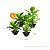 Vaso De Parede Jardim Horta Vertical 1 Litro Kit Com 12 Peças - Imagem 4