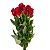 215 - Maço com 6 rosas vermelhas - Imagem 1