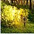 Luminária LED 7W Espeto De Jardim Cob Vermelho Prova D'água Bivolt - Imagem 9
