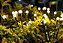 Luminária Pisca Solar Espeto Vagalume Jardim Natal 12 Leds Prova D'água Decoração Externa Branco Quente 3000k - Imagem 5