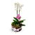 Le Jardim - 02 Orquídeas + 02 Suculentas no Vaso de Vidro - Imagem 1