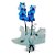 Orquídea Blue - Imagem 1