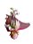 ORQUÍDEA BABY - Imagem 1