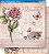Papel para Scrapbook Dupla Face - SD-431 - Imagem 1