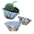 3 Bowls de Avocado - Coleção Aves do Brasil (500g cada) - Imagem 4