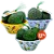 3 Bowls de Avocado - Coleção Aves do Brasil (500g cada) - Imagem 1