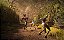 Steelrising Ps5 Midia Fisica - Imagem 2