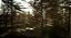 Chernobylite Ps4 - Imagem 2