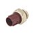 SENSOR TEMPERATURA DO RADIADOR HONDA CIVIC / FIT 1.4/1.5 92/13 / ACCORD 2.2 95 / 37760P00003 - Imagem 2