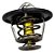 VALVULA TERMOSTATICA CHERY TIGGO 2.0 / S18 / FACE / CELER / 481H1306020 - Imagem 9