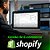 Gestão de E-commerce Shopify - Imagem 1