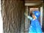 Revestimento em Massa ( Reboco ) - Imagem 4