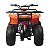 Quadriciclo ATV MDL GA 003-2 – 110CC - Imagem 3