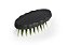 Escova Plastica P/ Tanque Oval Cb Platico - DSR - Imagem 1