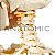 Esqueleto 170 cm, Padrão, com Suporte e Base com Rodas - TGD-0101 - Imagem 7