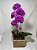 orquidea roxa - Imagem 1