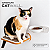 Comedouro de Parede Cat Wall - Imagem 5