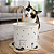 Kit Fonte Miaw - Bebedouro para Gatos - Imagem 2
