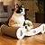 Arranhador Crec Crec de papelão - Para Gatos - [ Pré-venda, envio dia 20/12] - Imagem 2